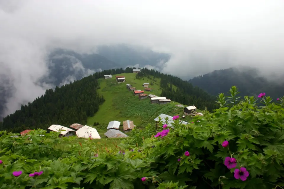 Ayder’den Pokut’a: sisin içinde bir hafta, hayalimdeki Karadeniz yayla rotası